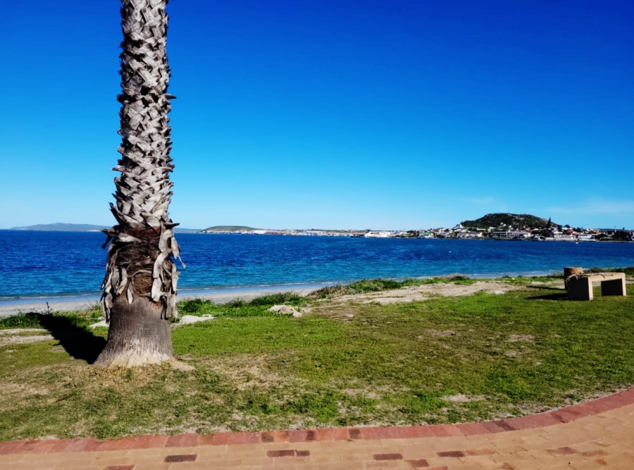 0 Bedroom Property for Sale in Saldanha Western Cape